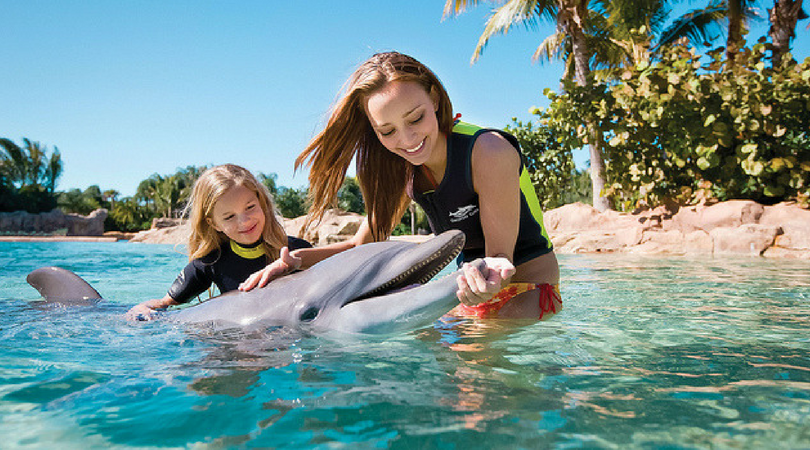Woman and child in the water with dolphin at Discovery Cove orlando, theme, parks, amusement, top, 10, guide, discovery, cove