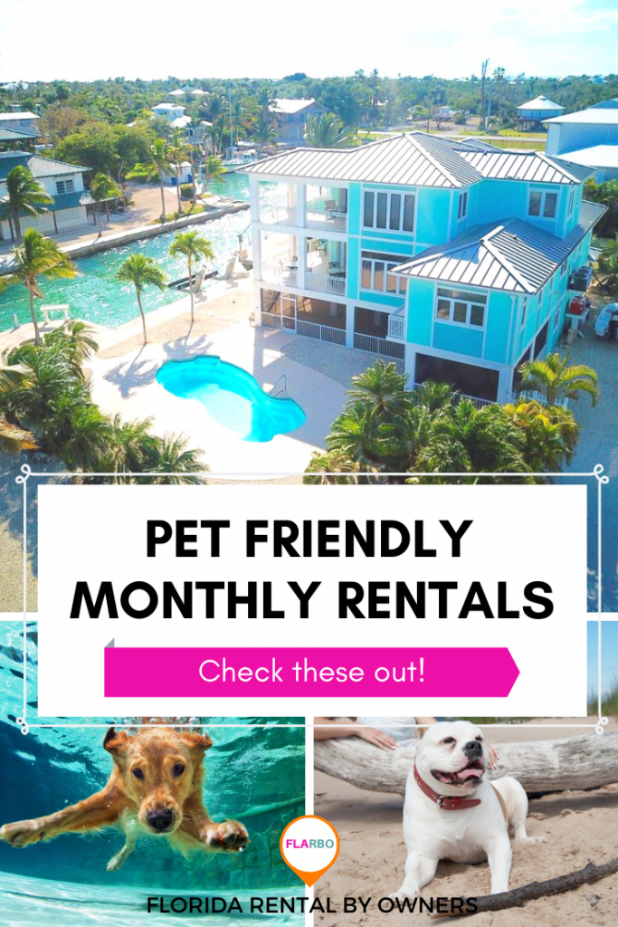 The Best Pet Friendly Monthly Rentals In Florida Florida Rental By Owners