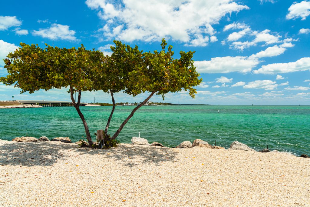 Florida Keys beach landscape along the overseas highway in Islamorada