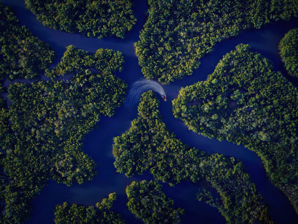 aerial view of a boat going through the serene canals and mangroves in Cape Coral, 
