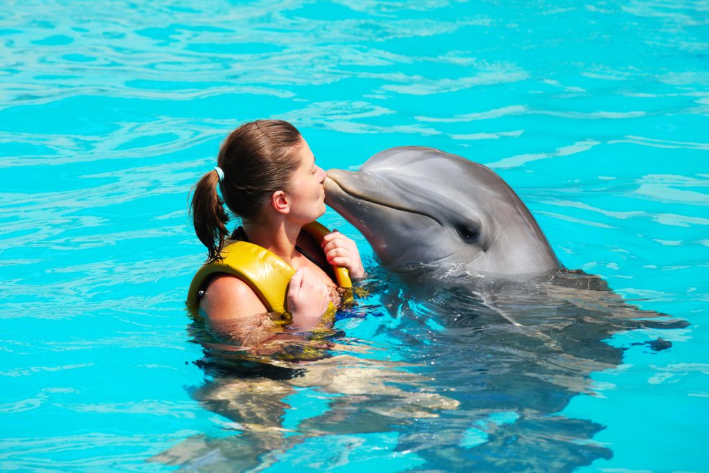 A picture of a young woman kissing a dolphin in a turquoise water at marine mammal park in Islamorada