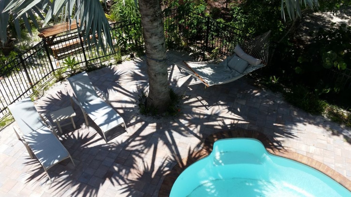 Enjoy some afternoon shade under the giant palm tree
