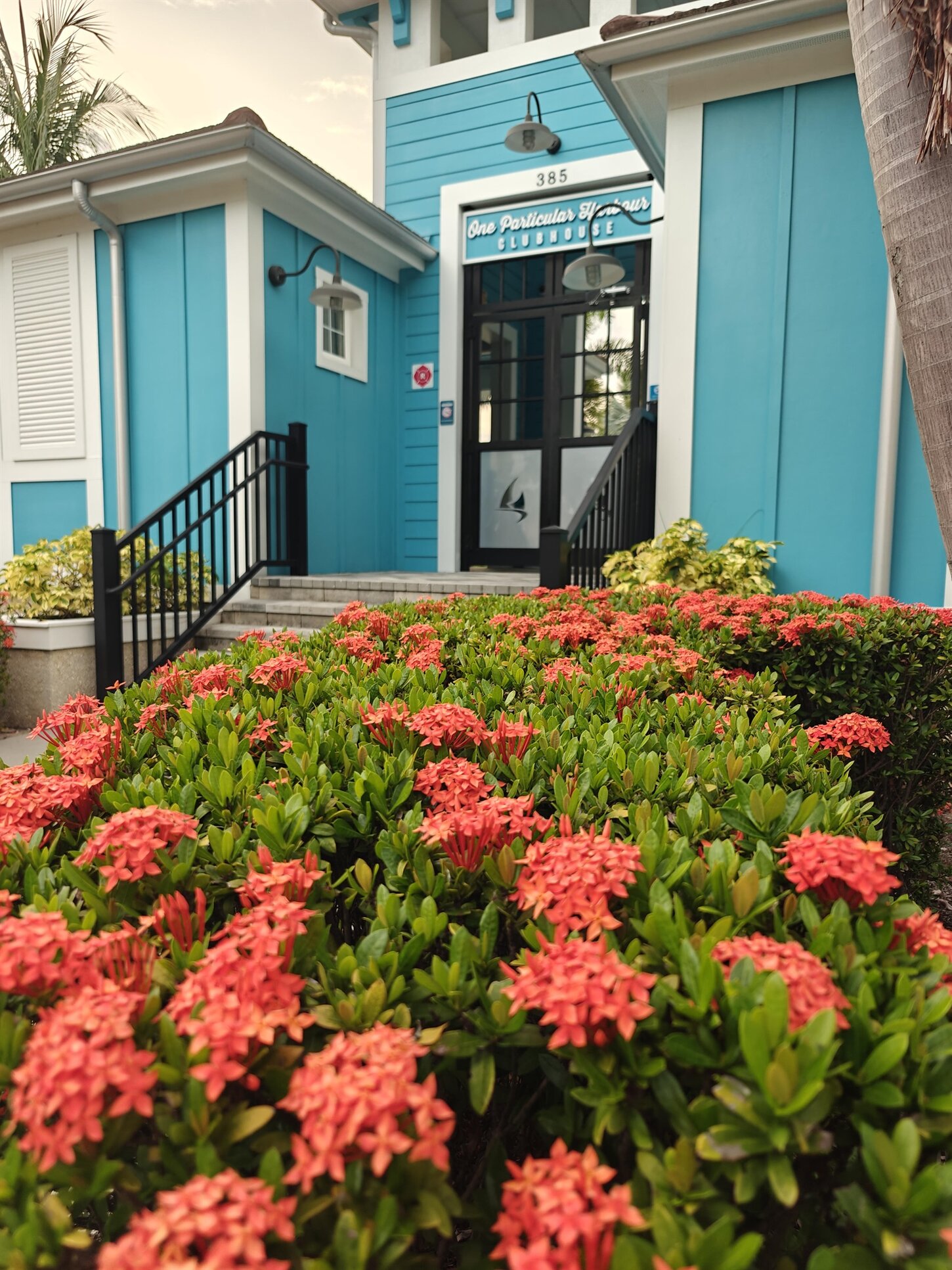 Marina Walk Amenities