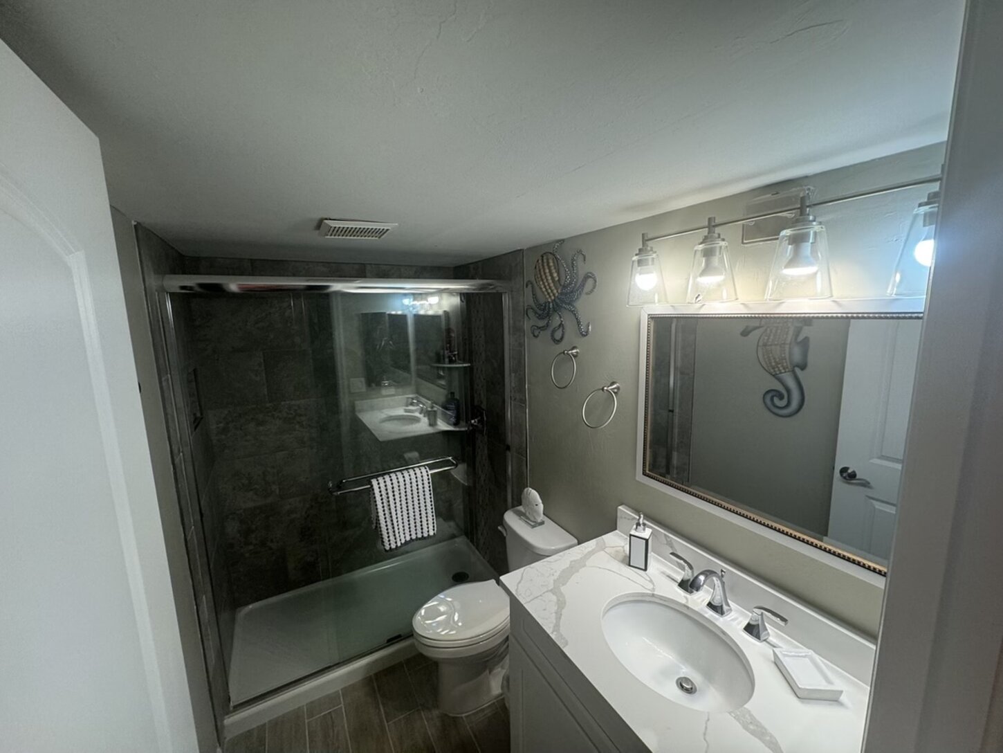 Guest bathroom (Turn Phone Sideways for Full Picture)
