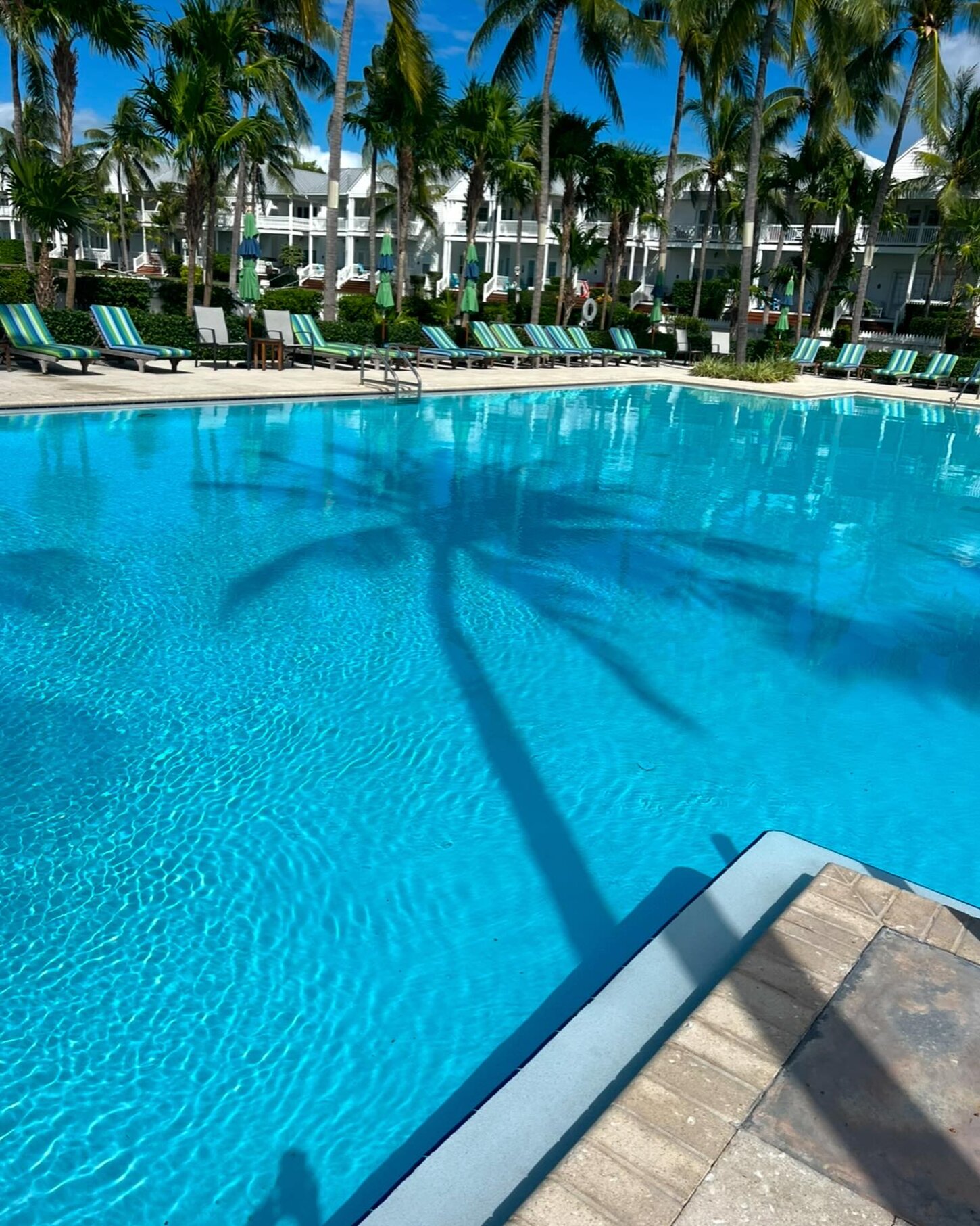 Largest Heated Saltwater Pool in Marathon