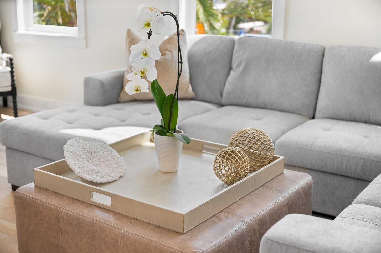 Plush living room furniture