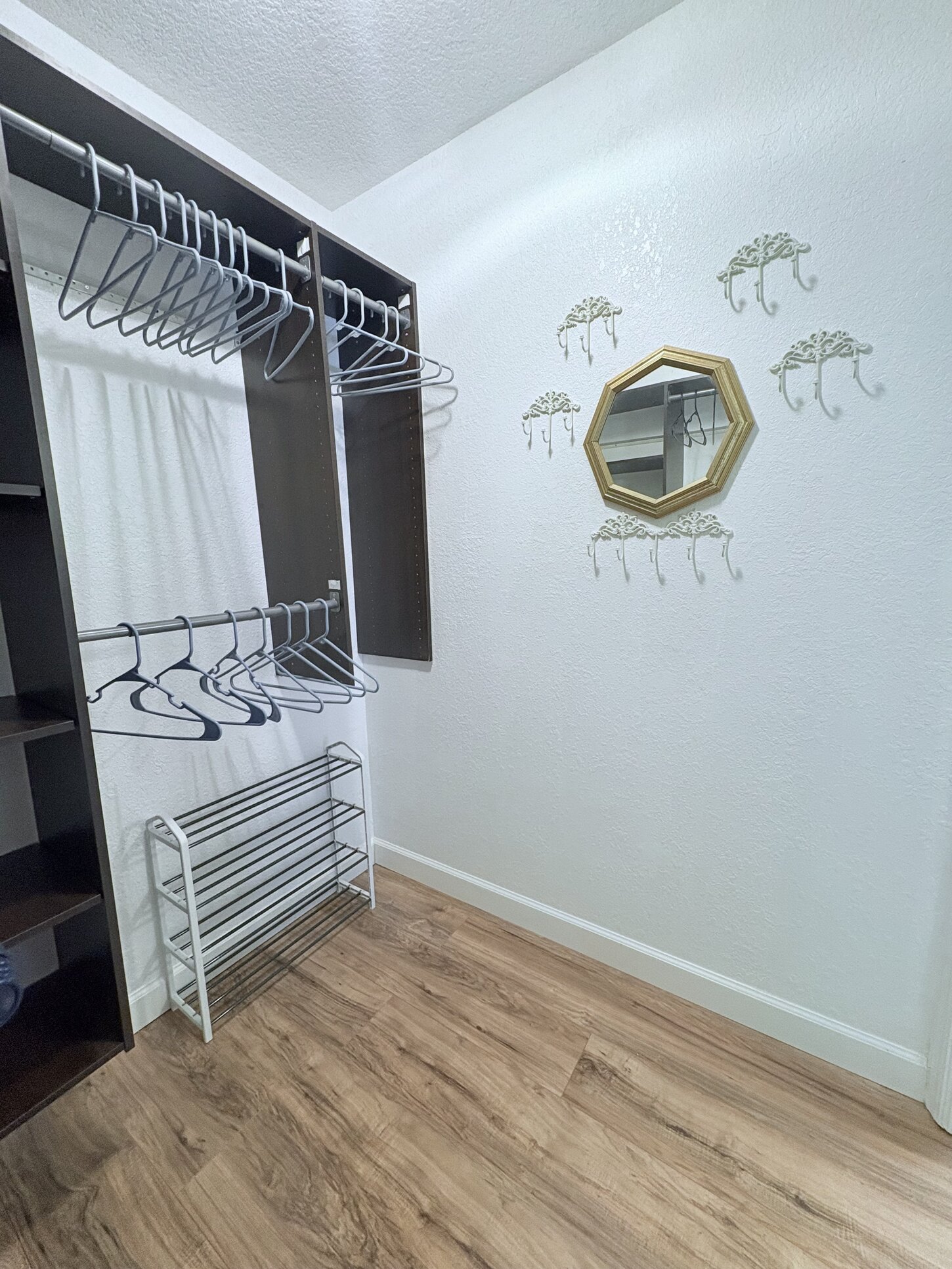 Master Closet (Her Side)