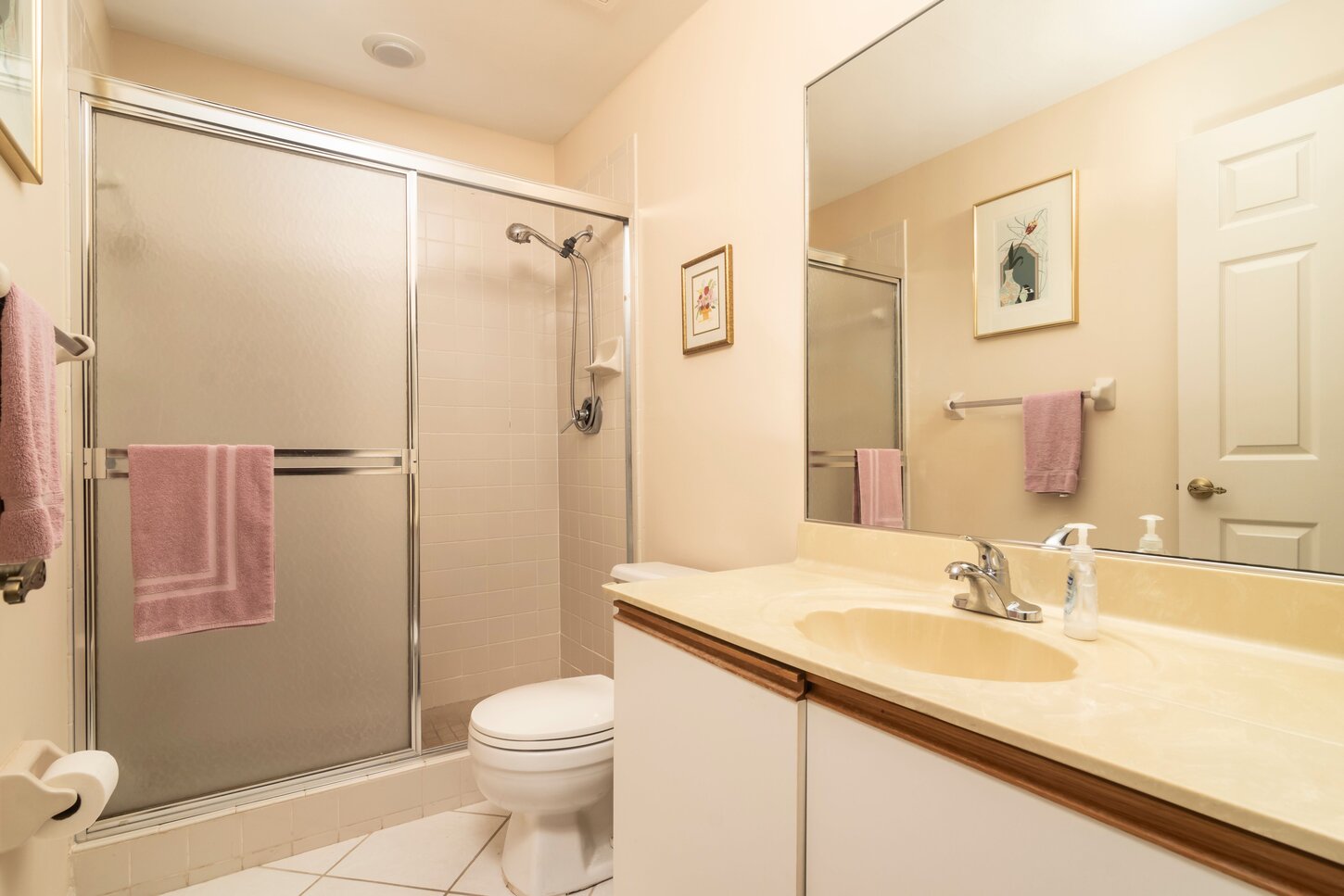 Guest Suite bathroom, Hand soap,shapoo and other guest amenities.